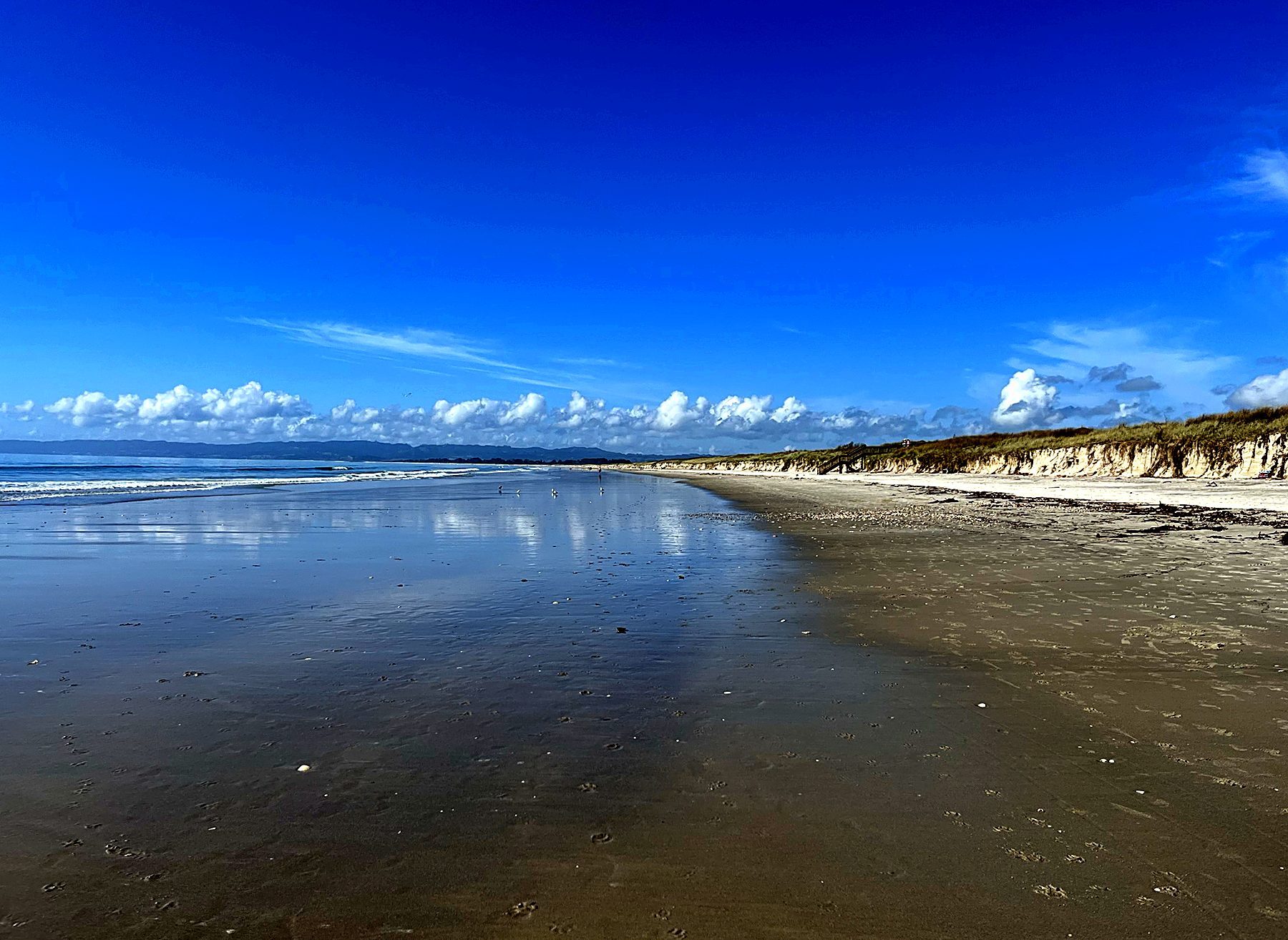 Wet sand mirror at low tide