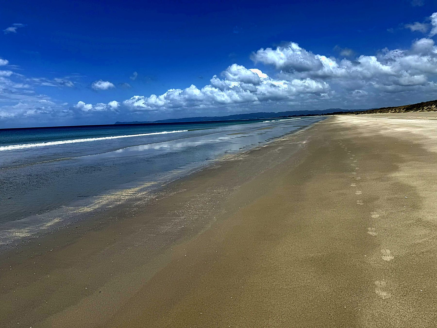 The long sweep of sand at golden hour