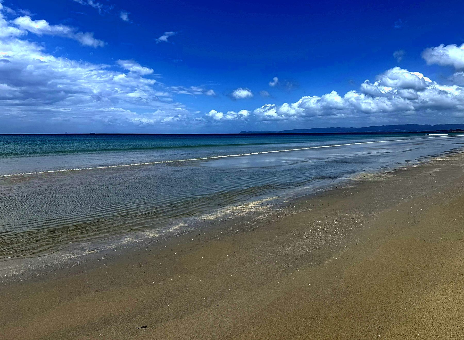 White sand below the dune line